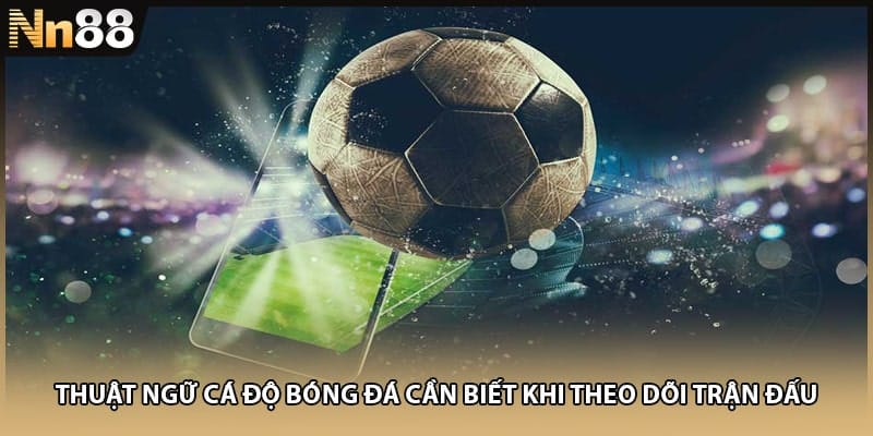 Thuật ngữ cá độ bóng đá cần biết khi theo dõi trận đấu